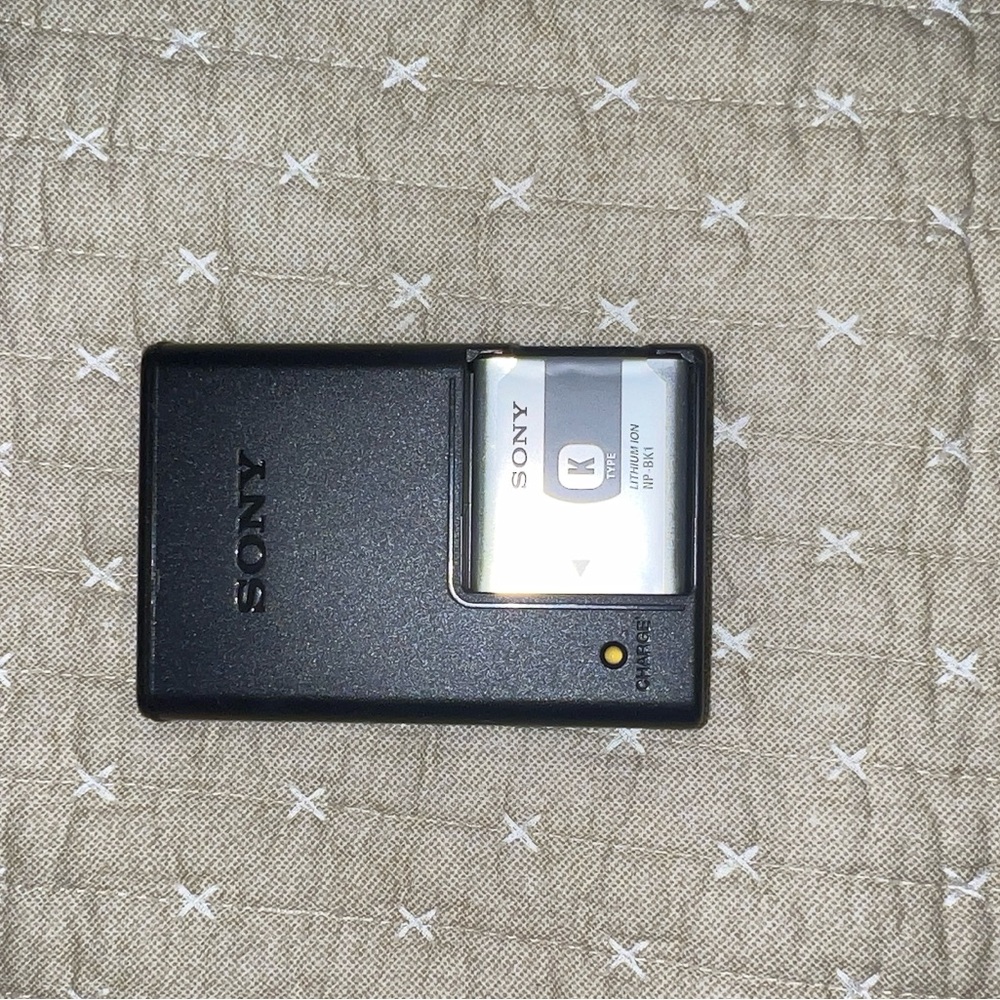 Sony Black and Silver Battery Charger